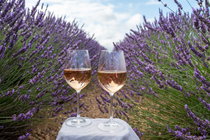 wine in provence
