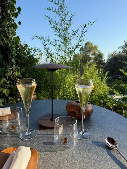 Le Relais des Moines: A Michelin-Starred Haven in Provence